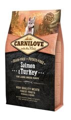 Carnilove Salmon&Turkey didelių veislių šunims su lašiša ir kalakutiena, 4 kg kaina ir informacija | Sausas maistas šunims | pigu.lt