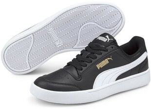Laisvalaikio batai berniukams Puma Shuffle Jr Black 375688 03 kaina ir informacija | Sportiniai batai vaikams | pigu.lt