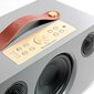 Audio Pro C5, pilka kaina ir informacija | Garso kolonėlės | pigu.lt