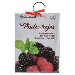 Ароматизированный пакет красные фрукты, бумага красная/белая, 17 x 23 см  цена и информация | Освежители воздуха | pigu.lt