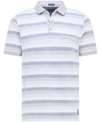 Мужская футболка Pierre Cardin 52384/000/11256 цена и информация | Мужские футболки | pigu.lt