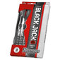 Smiginio strėlytės Harrows Black Jack Steeltip, 3 vnt., juodos kaina ir informacija | Smiginis | pigu.lt