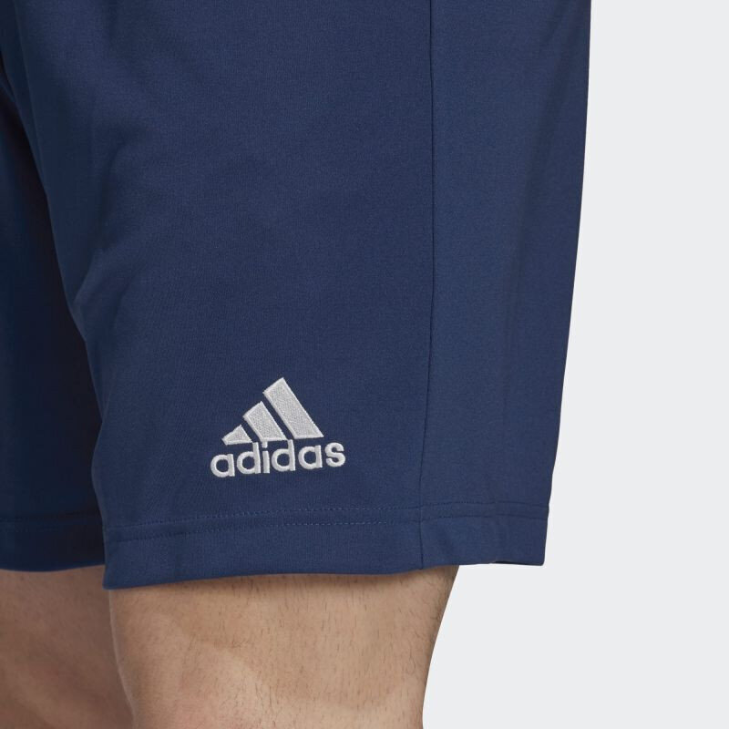 Vyriški šortai Adidas Entrada 22 H57506 kaina ir informacija | Vyriški šortai | pigu.lt