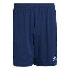 Vyriški šortai Adidas Entrada 22 H57506 kaina ir informacija | Vyriški šortai | pigu.lt