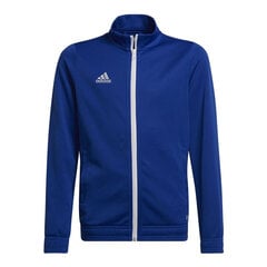 Adidas ДжемперFl Cb Hd Blue Red цена и информация | Свитеры, жилетки, пиджаки для мальчиков | pigu.lt