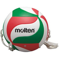 Tinklinio kamuolys Molten V5M9000 T цена и информация | Волейбольные мячи | pigu.lt