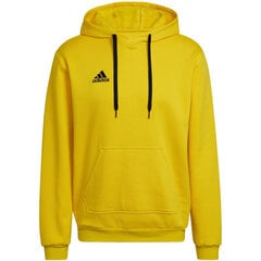 Adidas Джемпер Ent22 Hoody Yellow HI2140 цена и информация | Мужская спортивная одежда | pigu.lt