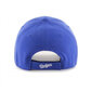 Los Angeles Dodgers kepurė цена и информация | Vyriški šalikai, kepurės, pirštinės | pigu.lt