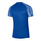 Marškinėliai vyrams Nike Dri-Fit Academy SS M DH8031-463, mėlyni kaina ir informacija | Vyriški marškinėliai | pigu.lt