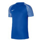 Marškinėliai vyrams Nike Dri-Fit Academy SS M DH8031-463, mėlyni kaina ir informacija | Vyriški marškinėliai | pigu.lt