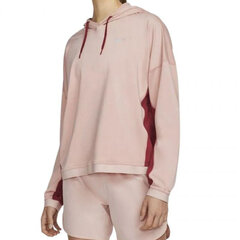 Džemperis vyrams Nike kaina ir informacija | Sportinė apranga moterims | pigu.lt
