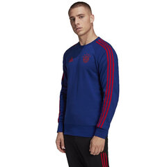 Adidas Джемпер Ent22 Hoody Green HI2141 цена и информация | Мужские толстовки | pigu.lt