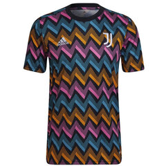 Marškinėliai vyrams Adidas Juventus Pre Match LM HB0444, juodi цена и информация | Мужские футболки | pigu.lt
