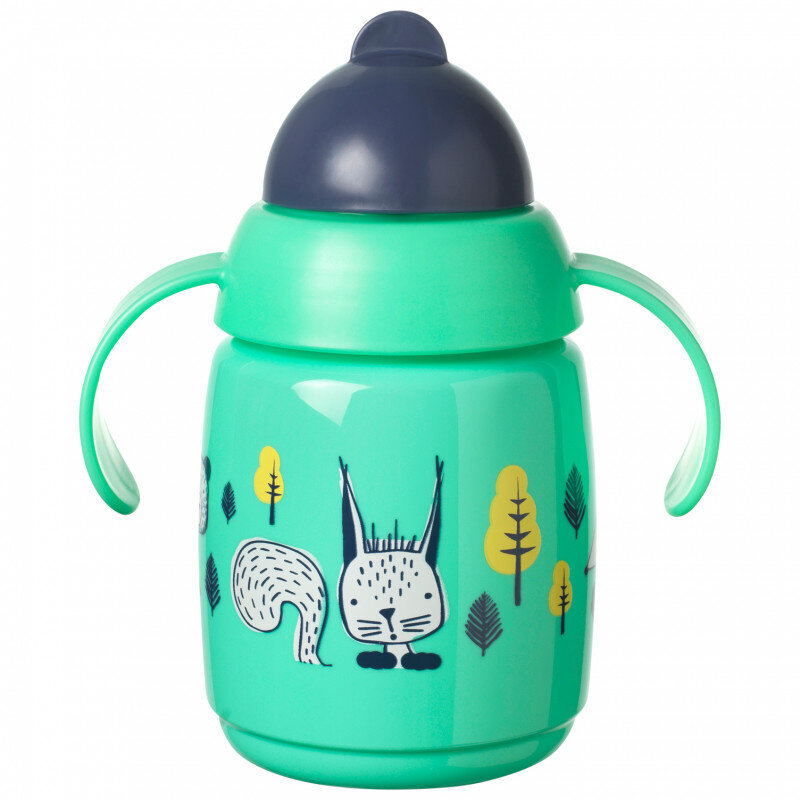 Tommee Tippee mokomasis puodelis su šiaudeliu, 7 m+, 300 ml, green kaina ir informacija | Buteliukai kūdikiams ir jų priedai | pigu.lt