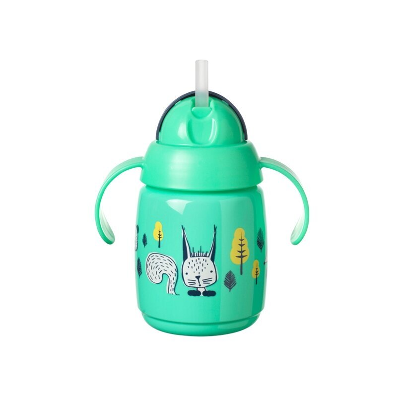 Tommee Tippee mokomasis puodelis su šiaudeliu, 7 m+, 300 ml, green kaina ir informacija | Buteliukai kūdikiams ir jų priedai | pigu.lt