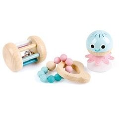 Набор деревянных игрушек Hape цена и информация | Игрушки для малышей | pigu.lt