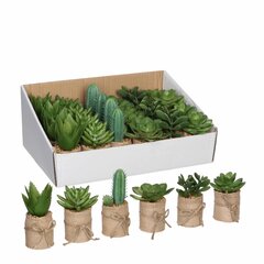 Декоративное растение Mica Decorations 8 x 5 cm PVC сочный цена и информация | Искусственные цветы | pigu.lt