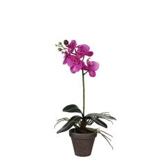 Orchidėja 949831 48cm Rausva kaina ir informacija | Dirbtinės gėlės | pigu.lt