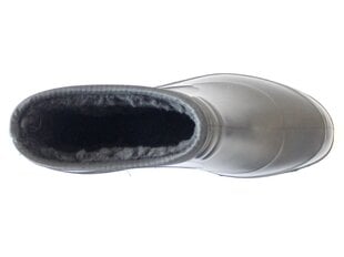 Guminiai batai moterims 39d 701pp цена и информация | Женские резиновые сапоги | pigu.lt