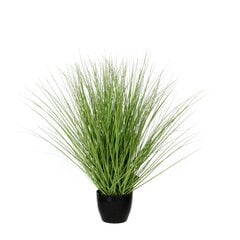 Декоративное растение Mica Decorations Зеленый PVC Трава цена и информация | Искусственные цветы | pigu.lt