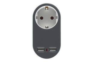 Rozetė su Usb Jungtimis 320916 цена и информация | Выключатели, розетки | pigu.lt