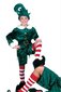 Elfo kostiumas цена и информация | Karnavaliniai kostiumai | pigu.lt