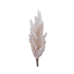 Декоративное растение Everlands Пампасная трава (Ø 9 x 90 см) цена и информация | Искусственные цветы | pigu.lt
