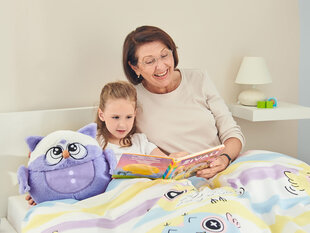 Dormeo pagalvėlės ir užkloto rinkinys Pelėda Senelė kaina ir informacija | Minkšti (pliušiniai) žaislai | pigu.lt