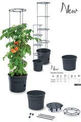 Vazonas Pomidorams Ipom300 24 cm kaina ir informacija | Vazonai | pigu.lt