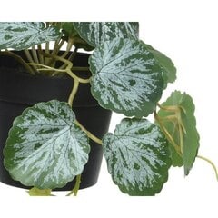 Декоративное растение Широкое лезвие Зеленый Пластик (60 x 90 x 60 cm) цена и информация | Искусственные цветы | pigu.lt