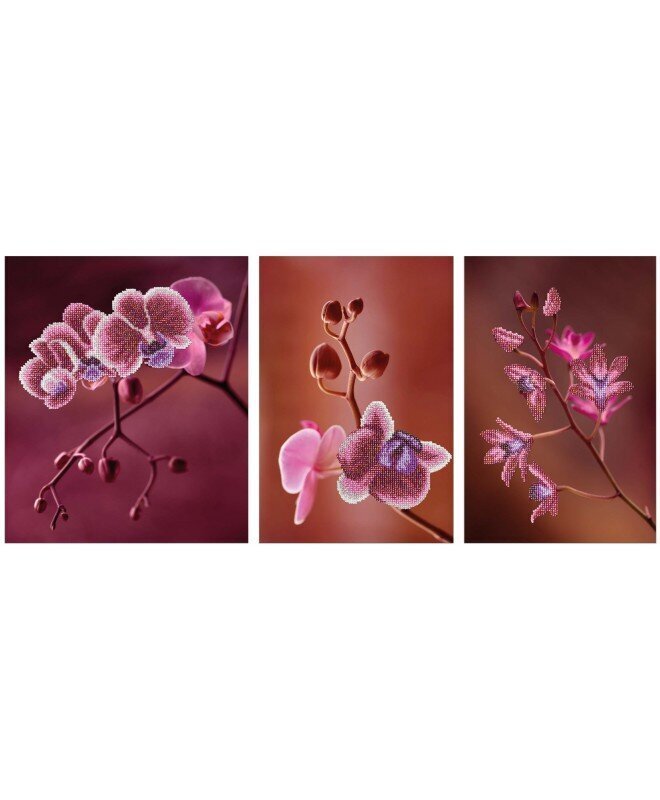 Siuvinėjimo biseriu rinkinys MiniArt Crafts Pink Orchids triptych kaina ir informacija | Siuvinėjimo priemonės | pigu.lt