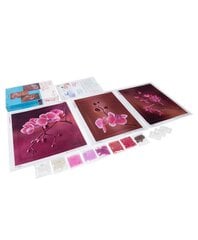 Siuvinėjimo biseriu rinkinys MiniArt Crafts Pink Orchids triptych kaina ir informacija | Siuvinėjimo priemonės | pigu.lt