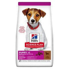 Hill's Science Plan Puppy Small&Mini ėdalas šuniukams su ėriena ir ryžiais 1,5 kg kaina ir informacija | Sausas maistas šunims | pigu.lt
