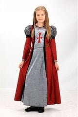 Viduramžių princesės suknelė kaina ir informacija | Karnavaliniai kostiumai | pigu.lt