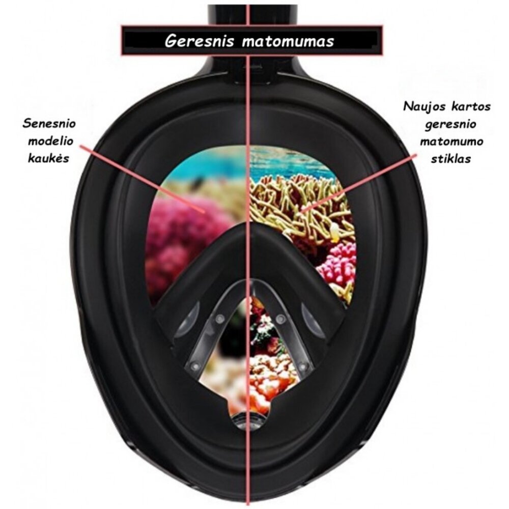 Nardymo kaukė Avatar Mask V3, M dydis kaina ir informacija | Nardymo kaukės | pigu.lt