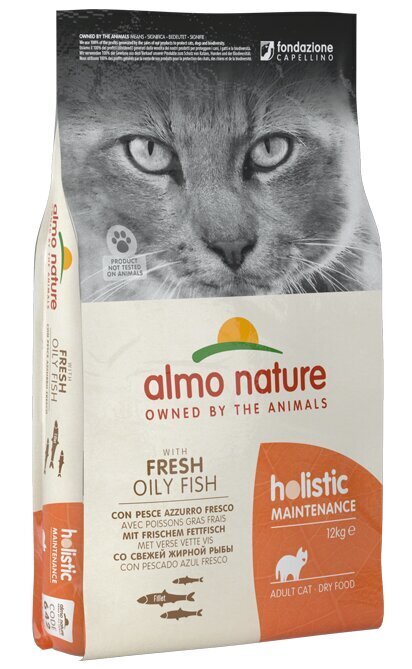 Kačių maistas su ančiuviais Almo Nature Holistic Maintenance, skirtas suaugusioms katėms, 12 kg цена и информация | Sausas maistas katėms | pigu.lt