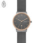 Vyriškas laikrodis Skagen SKW7601 цена и информация | Vyriški laikrodžiai | pigu.lt