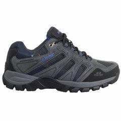 Мужские спортивные кроссовки Hi-Tec Hi-Tec Torca Low WP M, светло-серые: размер обуви - 41 S6436731 цена и информация | Кроссовки для мужчин | pigu.lt