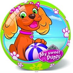 Kamuolys Star Šuniukas, įvairių spalvų, 23 cm kaina ir informacija | Vandens, smėlio ir paplūdimio žaislai | pigu.lt