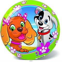 Kamuolys Star Šuniukas, įvairių spalvų, 23 cm kaina ir informacija | Vandens, smėlio ir paplūdimio žaislai | pigu.lt