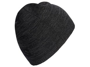 WINTER HAT ADIDAS CORE DAILY BEANIE LT DN8445 цена и информация | Женские шапки | pigu.lt