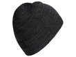 Kepurė suaugusiems Adidas core daily beanie, pilka цена и информация | Kepurės moterims | pigu.lt