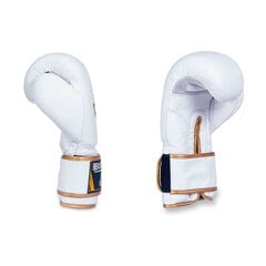 Боксерские перчатки Dbd Bushido Dbd-B-2 10oz цена и информация | Боевые искусства | pigu.lt