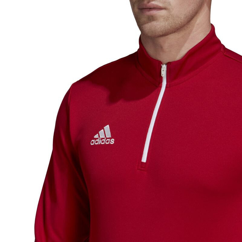 Sportiniai marškinėliai vyrams Adidas kaina ir informacija | Sportinė apranga vyrams | pigu.lt