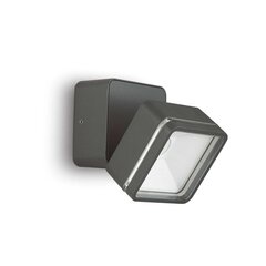 Ideal Lux šviestuvas Omega AP Square kaina ir informacija | Lauko šviestuvai | pigu.lt