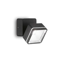 Ideal Lux šviestuvas Omega AP Square kaina ir informacija | Lauko šviestuvai | pigu.lt