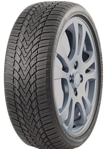 Roadmarch WINTERXPRO 888 225/40R19 93 V XL цена и информация | Žieminės padangos | pigu.lt