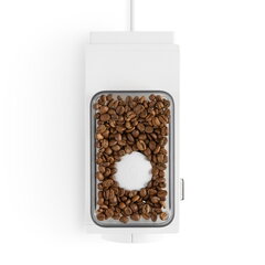 Кофемолка Fellow Ode coffee grinder, белая цена и информация | Кофемолки | pigu.lt