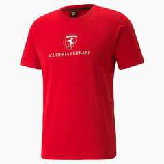 Мужская футболка с коротким рукавом Puma Race Graphic, красная S6437311 цена и информация | Мужская спортивная одежда | pigu.lt