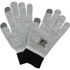 Мужские перчатки Hofler 351542 01, серебряные/черные 351542*01-011 цена и информация | Мужские шарфы, шапки, перчатки | pigu.lt